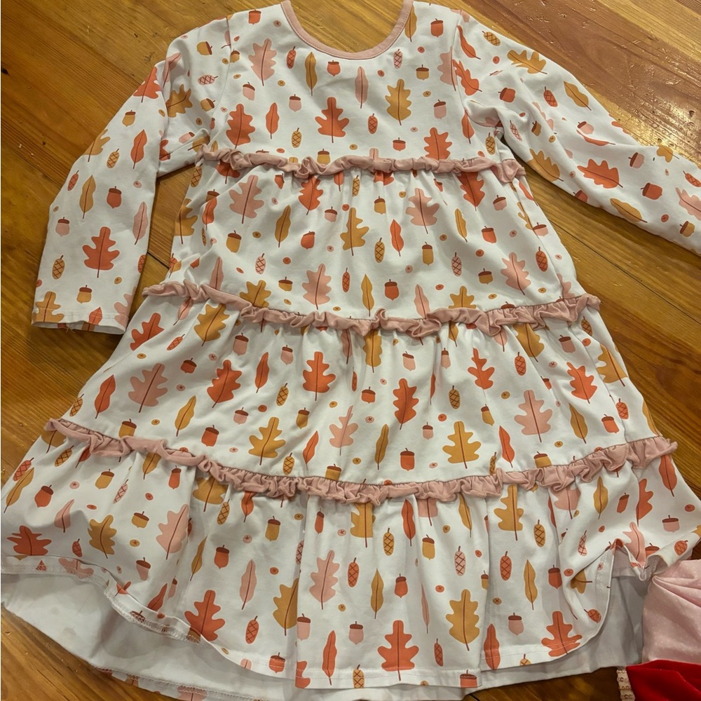 Stitchy Fish autumn dress Sz 5
